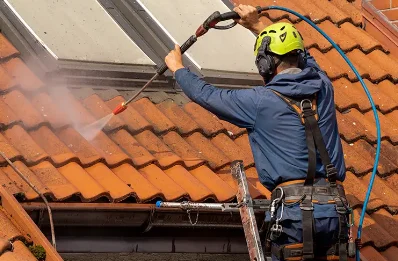 Démoussage et hydrofuge de toiture à Guémappe